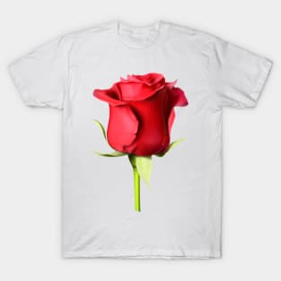 I use rose for everything T-Shirt